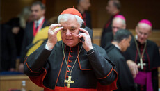 Catholic cardinal: Pope's gay statement is devastating