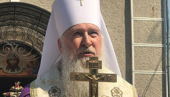 Metropolitan Theodore. Photo: pravoslavie.ru