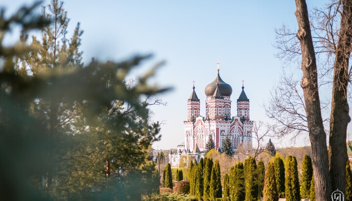 Meeting of the Holy Synod of the UOC on April 10, 2024 in Feofania. Photo: news.church.ua