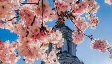 Lavra is the heart of Ukraine: The Net features blossoming monastery