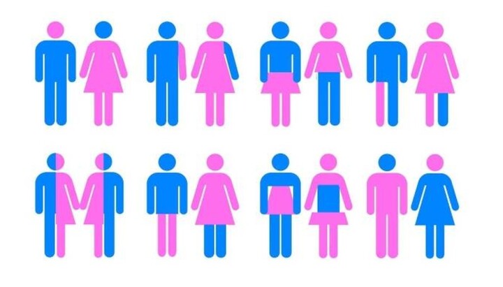 Photo: Gender diversity. Source: Update