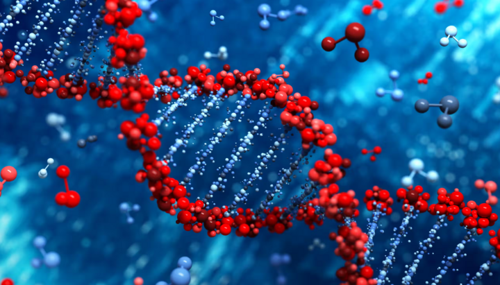 DNA. Photo: Leigh Prather/Alamy