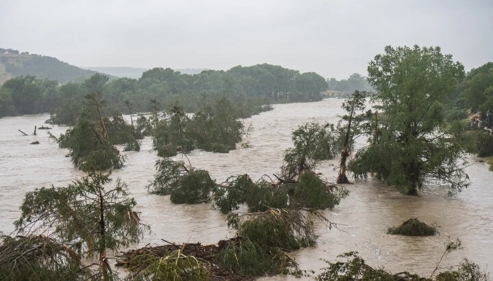 Trees emerge from flood waters along the Guadalupe River on Friday in Kerrville, Texas. Photo: Eric Vryn/Getty Images