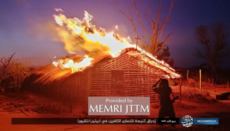 Islamic State-Affiliated Militants Behead Over 30 Christians in Mozambique Attacks
