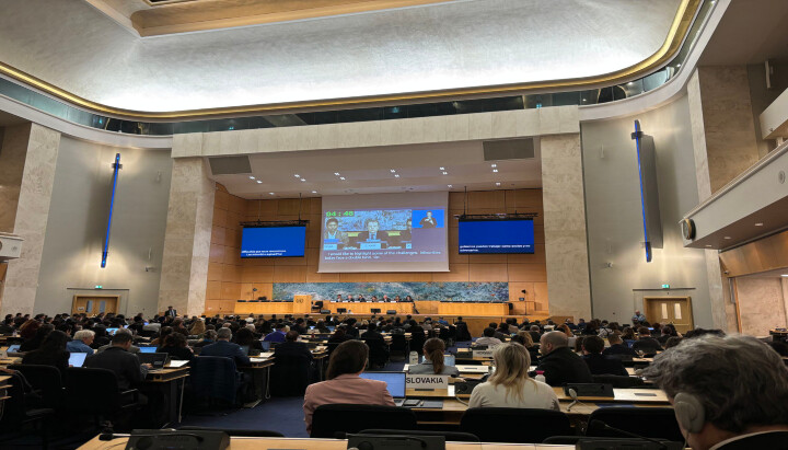 U.N. Forum on Minority Issues. Photo: Public Advocacy